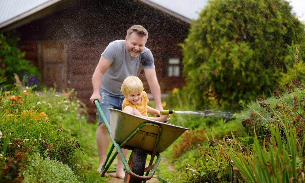 Cody domestic and garden show 2024