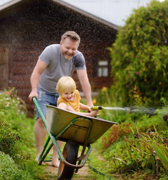 Cody domestic and garden show 2024